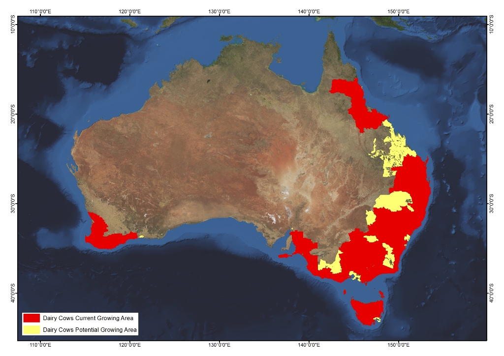 dairy-cows-agrifutures-australia