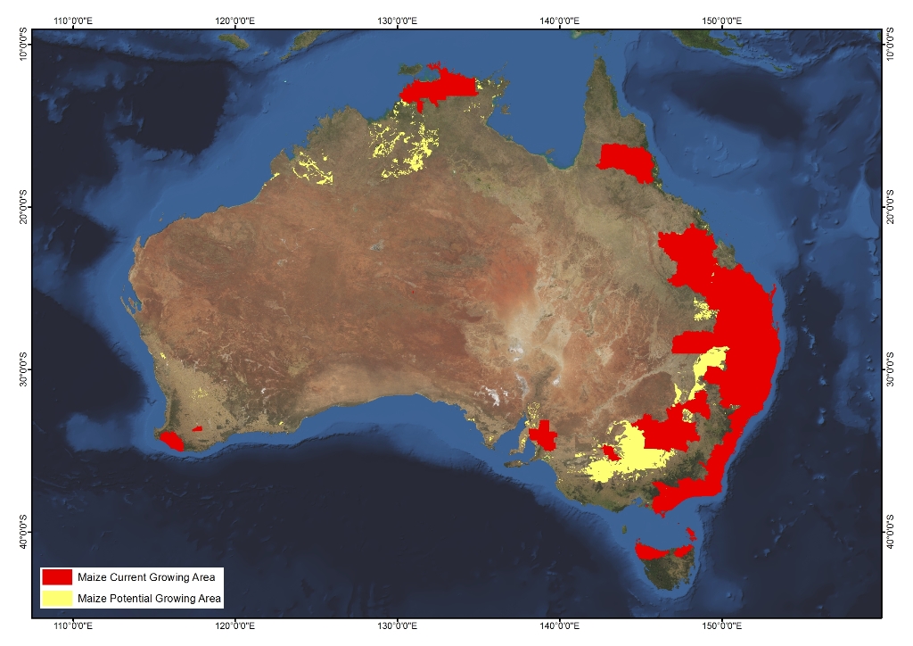 maize-agrifutures-australia