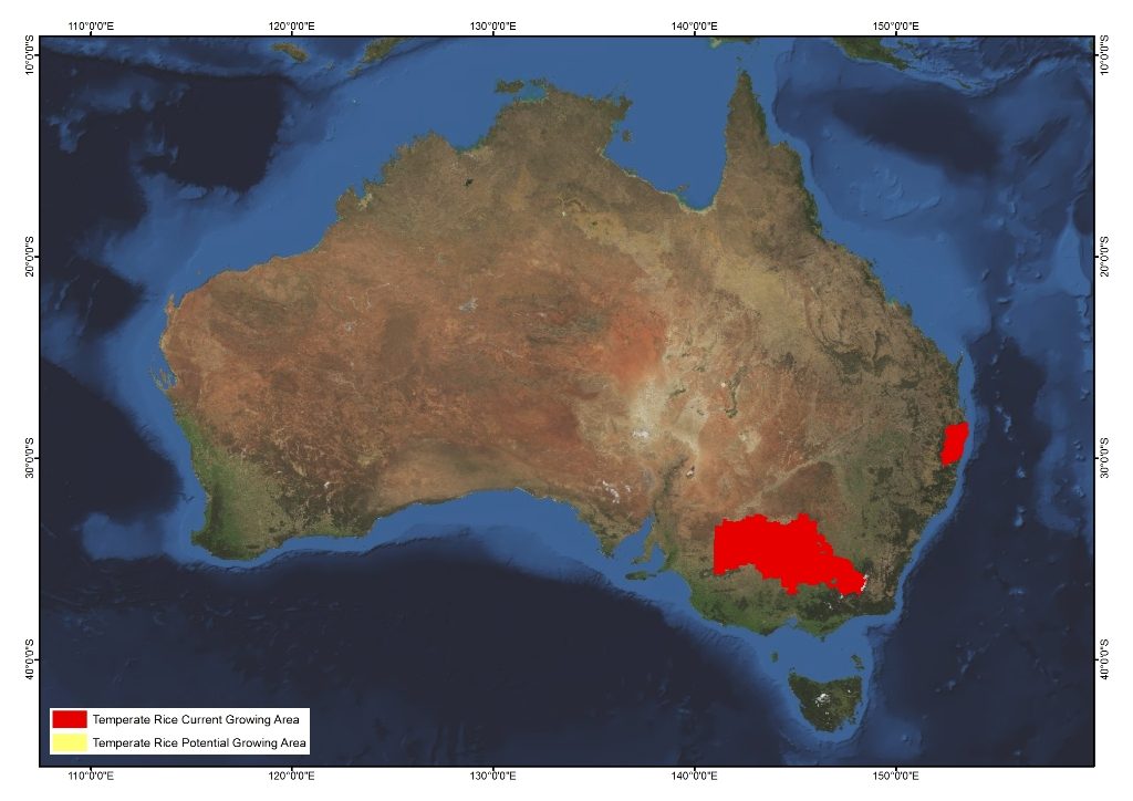 rice-agrifutures-australia