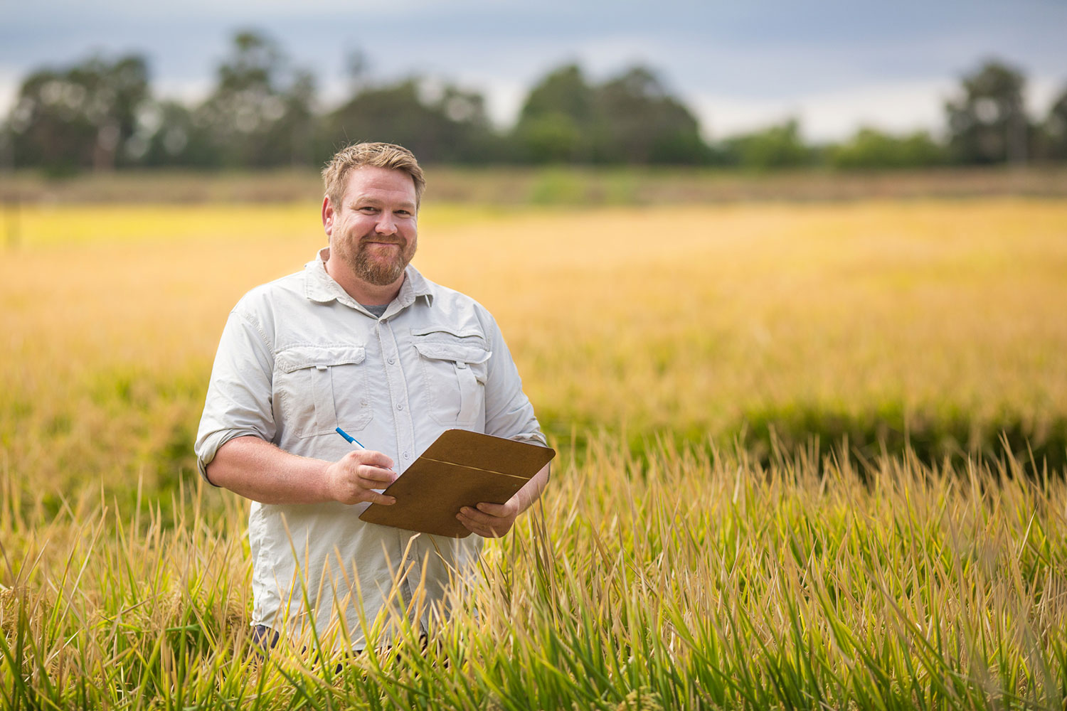 Agriculture reading