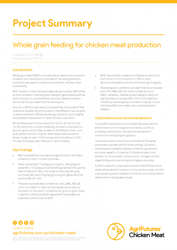 Project summary Whole grain feeding for chicken meat production