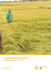 Growth Regulator Evaluation in Australian Rice Crops - image