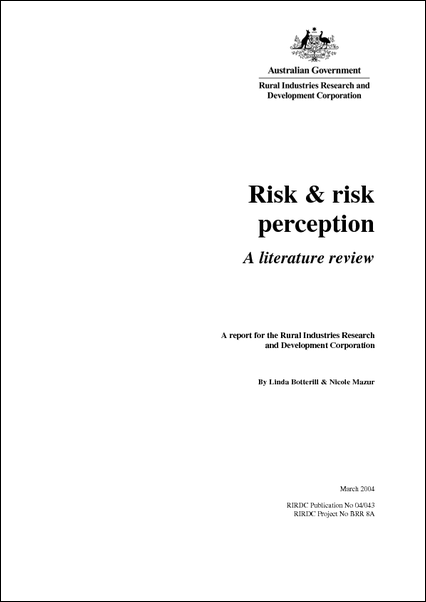 risks literature review