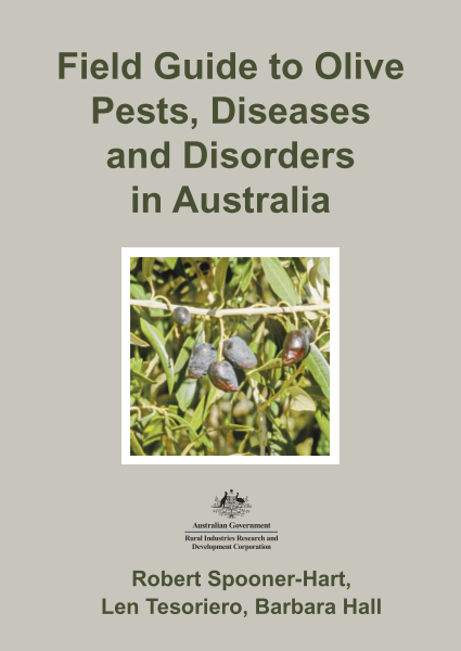 Field Guide to Olive Pests, Diseases and Disorders in ...