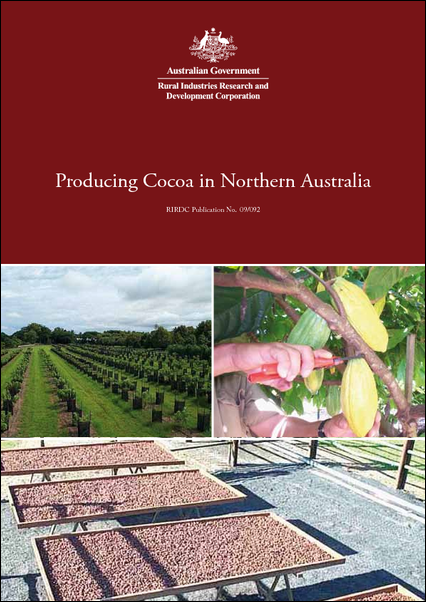 Producing Cocoa in Northern Australia - image
