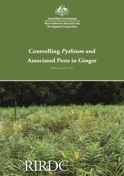 Controlling Pythium and Associated Pests in Ginger - image