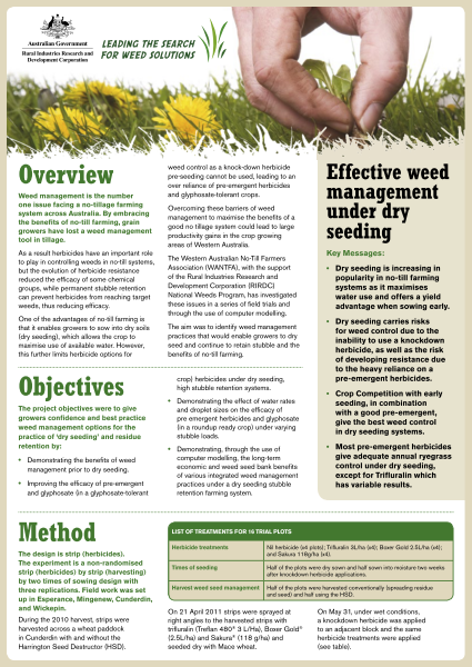 Weeds fact sheet: Effective weed management under dry seeding ...