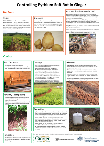 Controlling Pythium Soft Rot in Ginger -poster - image