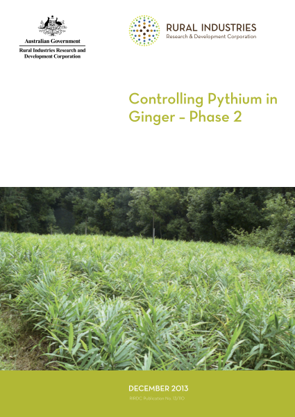 Controlling Pythium in Ginger – Phase 2 - image