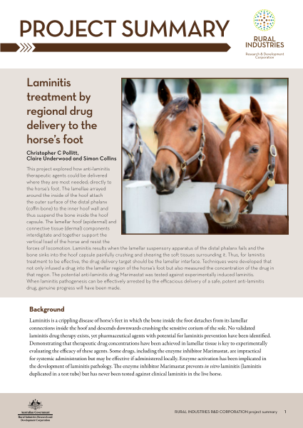 Laminitis treatment by regional drug delivery to the horse’s foot ...