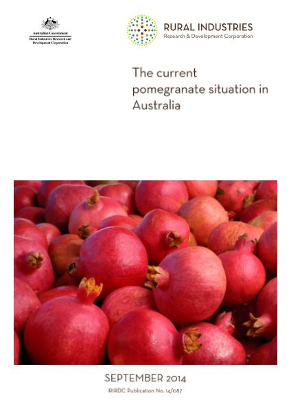The current pomegranate situation in Australia - image