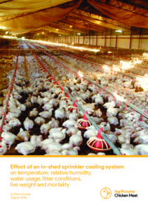 View inside a large poultry shed with many chickens, automated feeding lines, and overhead sprinklers. The brightly lit, busy scene highlights research-driven agriculture focused on efficient chicken meat production.
