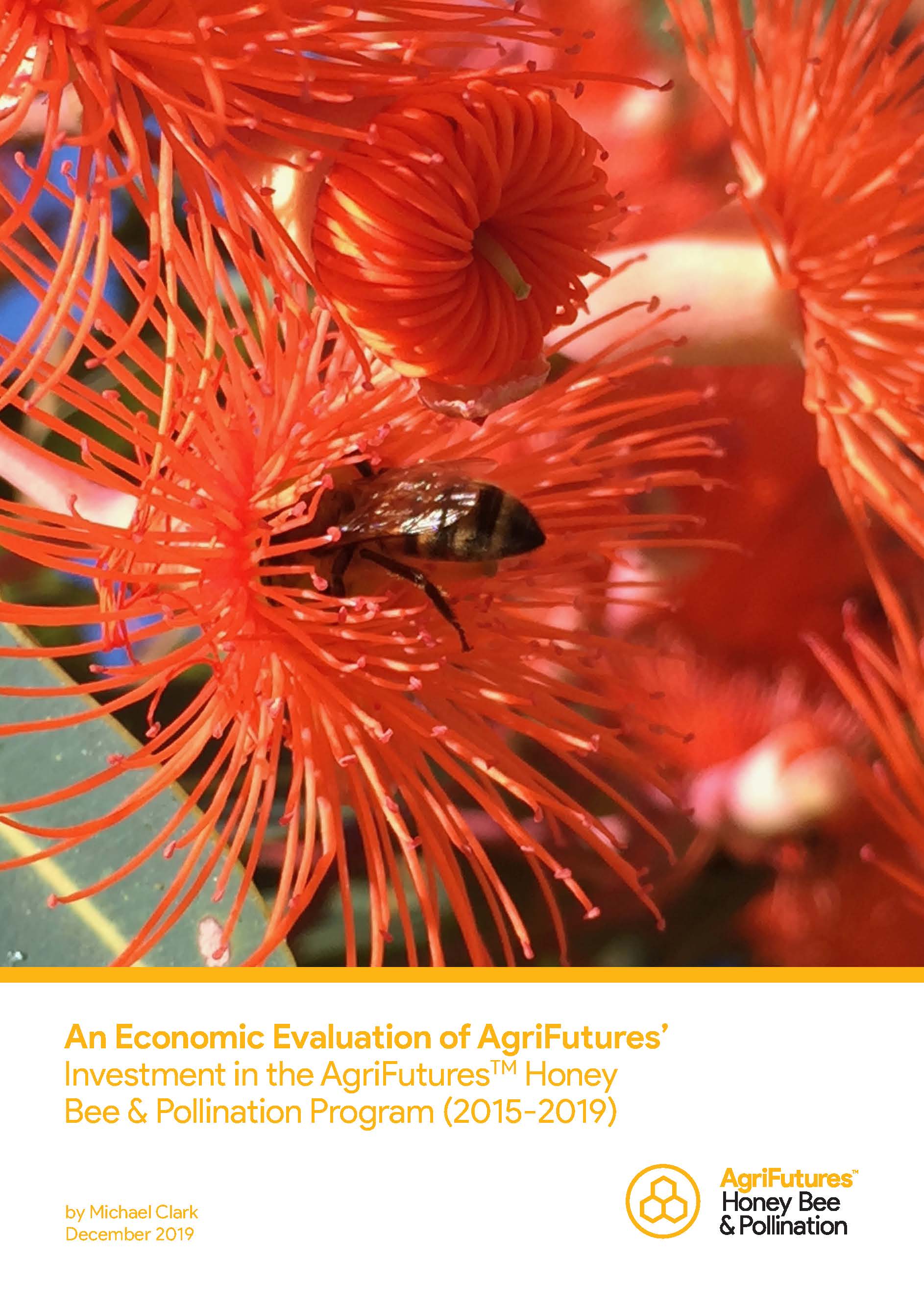 An Economic Evaluation of AgriFutures’ Investment in the AgriFuturesTM Honey Bee & Pollination Program (2015-2019) - image