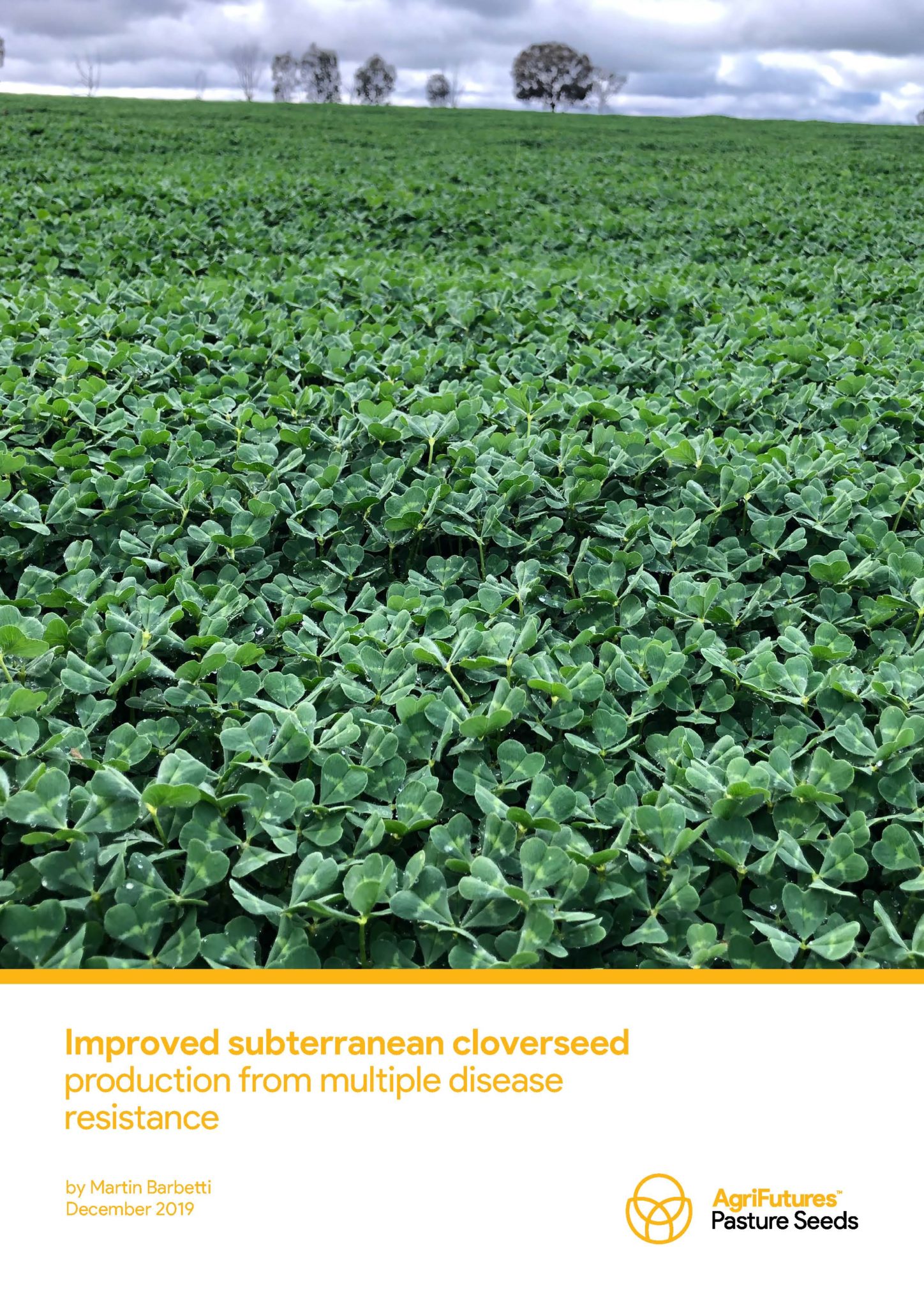 Improved subterranean cloverseed production from multiple disease resistance - image