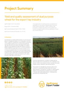 Project summary: Yield and quality assessment of dual purpose wheat for the export hay industry - image