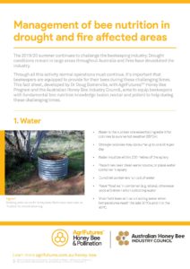Management of bee nutrition in drought and fire affected areas - image