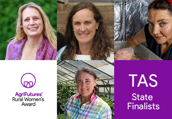 Tasmania 2020 Rural Women's Award finalists, Karen Brock, Celia Leverton, Robyn Eversole and Louise Morris