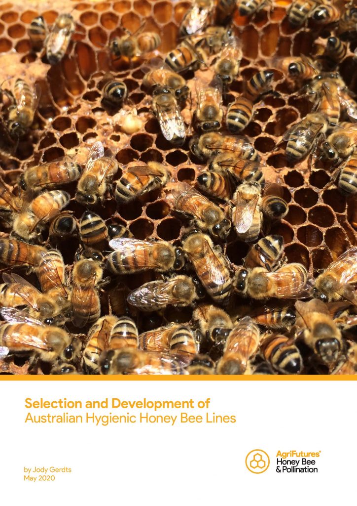 Selection and development of hygienic honey bee lines | AgriFutures ...