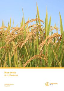 Rice pests and disease - image