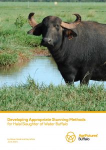 Developing Appropriate Stunning Methods for Halal Slaughter of Water Buffalo - image