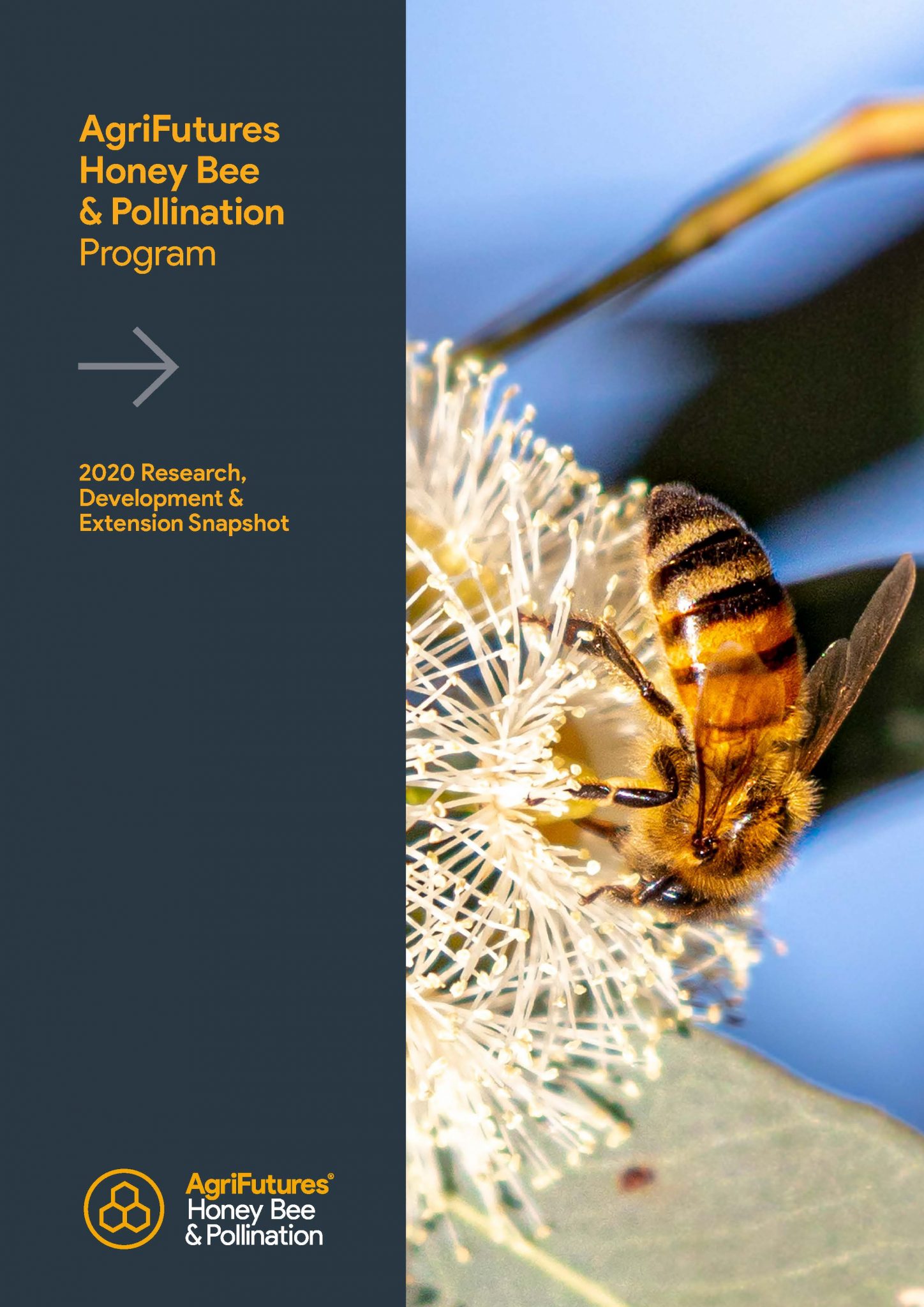 AgriFutures Honey Bee & Pollination Program: 2020 Research,  Development &  Extension Snapshot - image