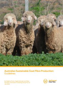 A group of Angora goats with long, curly fleece stand in a green pasture. Below is the product title: Australian Sustainable Goat Fibre Production: Guidelines.