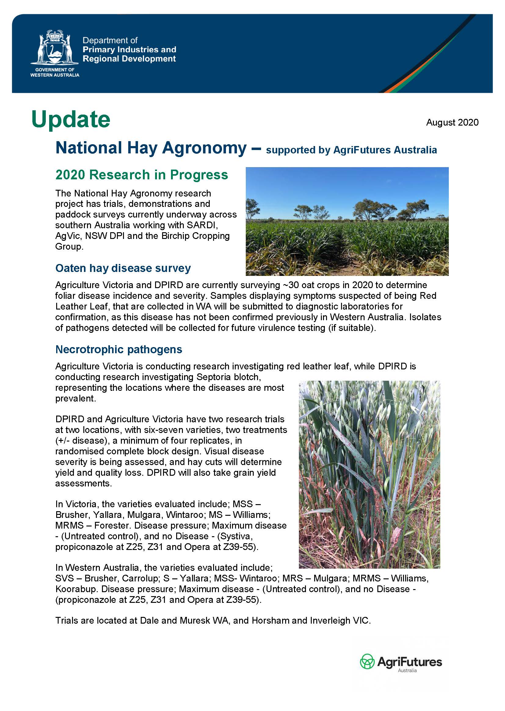 National Hay Agronomy: August 2020 Research in Progress - image