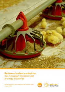 Yellow chicks gather around a red and grey feeder on a straw-covered chicken farm. The cover page of "Review of rodent control for the Australian chicken meat and egg industries" highlights rodent management in poultry farming.