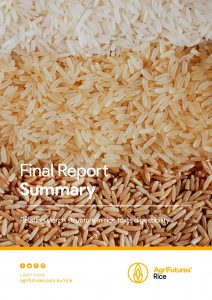 Final Report Summary: Relating starch structure in rice to its digestibility - image