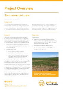 Project overview: Stem nematode in oats - image