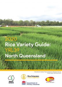 Rice Variety Guide: YRL39 - North Queensland - image