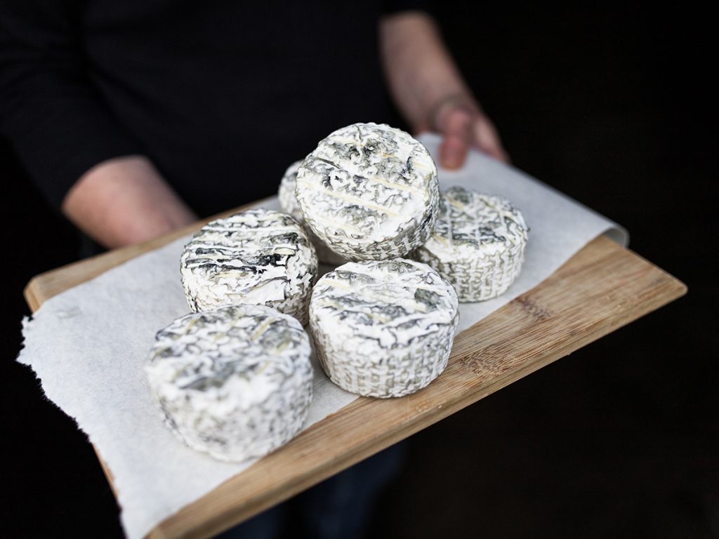 Artisan cheese produced by Cressida Cains, winner of 2020 NSW AgriFutures Rural Women's Award