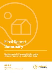 Development of a Mycopesticide for control of lesser mealworm in meat chicken sheds - image