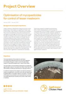 Optimisation of mycopesticides for control of lesser mealworm - image