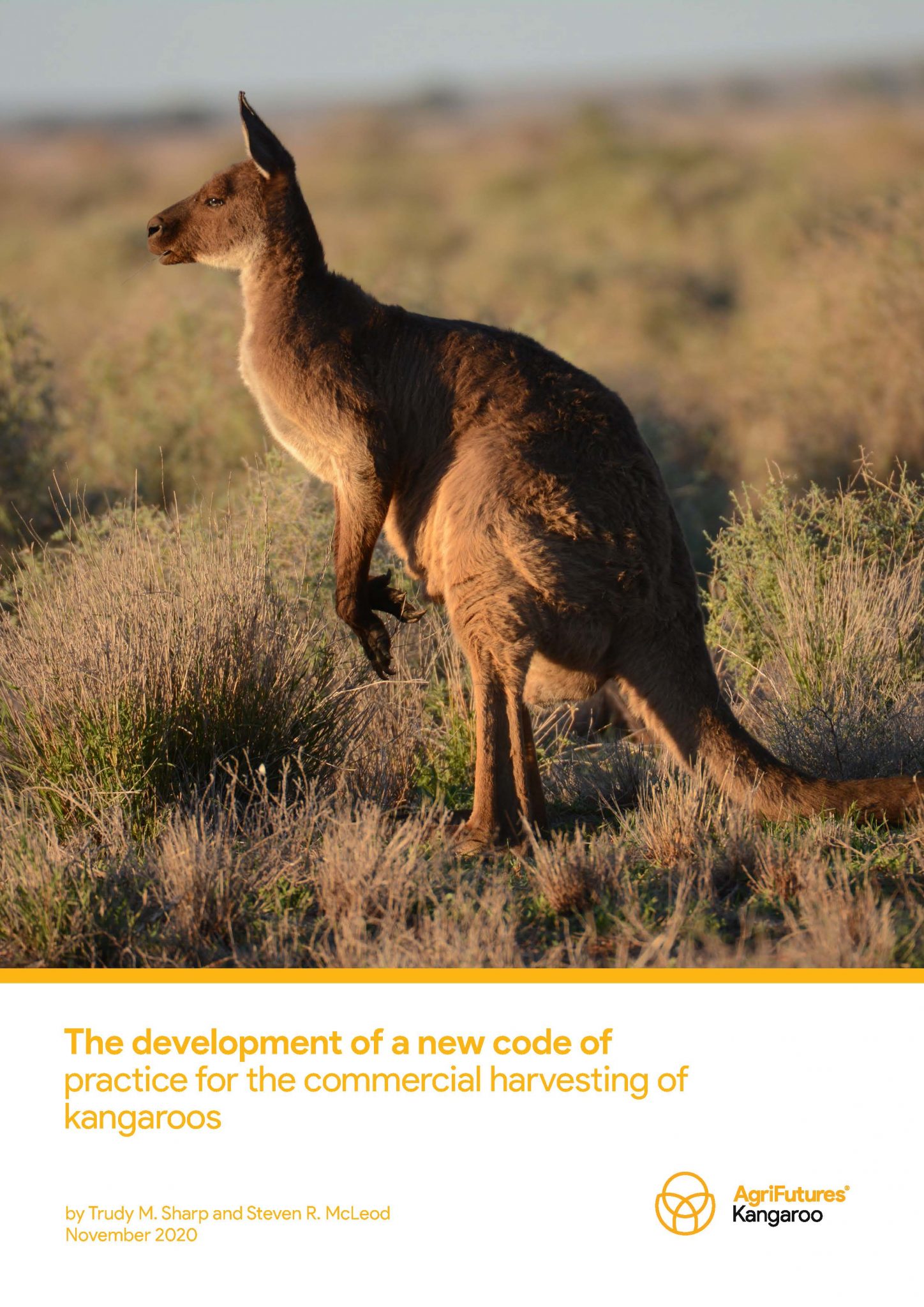 The development of a new code of practice for the commercial harvesting of kangaroos - image