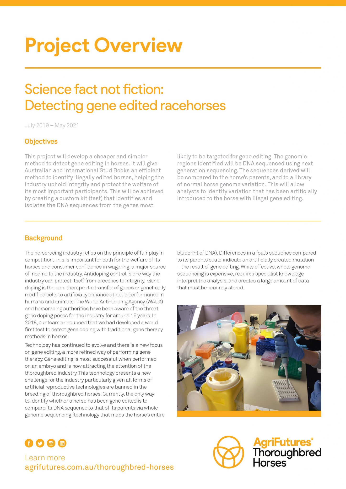 Project overview: Science fact not fiction - Detecting gene edited racehorses - image