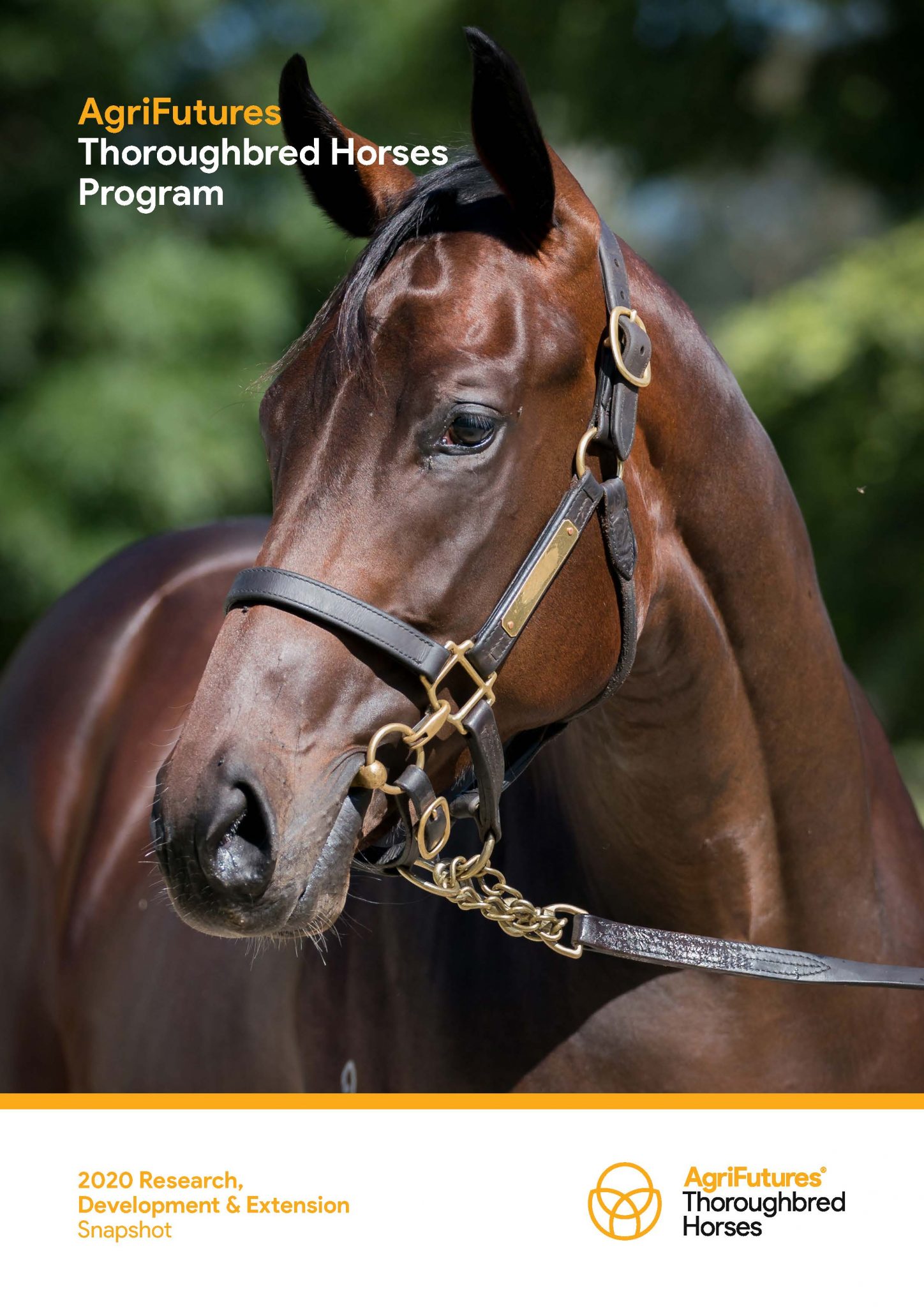 AgriFutures Thoroughbred Horses Program 2020 Research, Development & Extension Snapshot - image