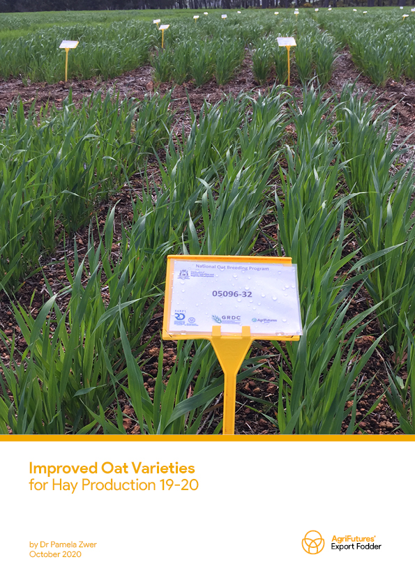 Improved Oat Varieties for Hay Production 19-20 - image