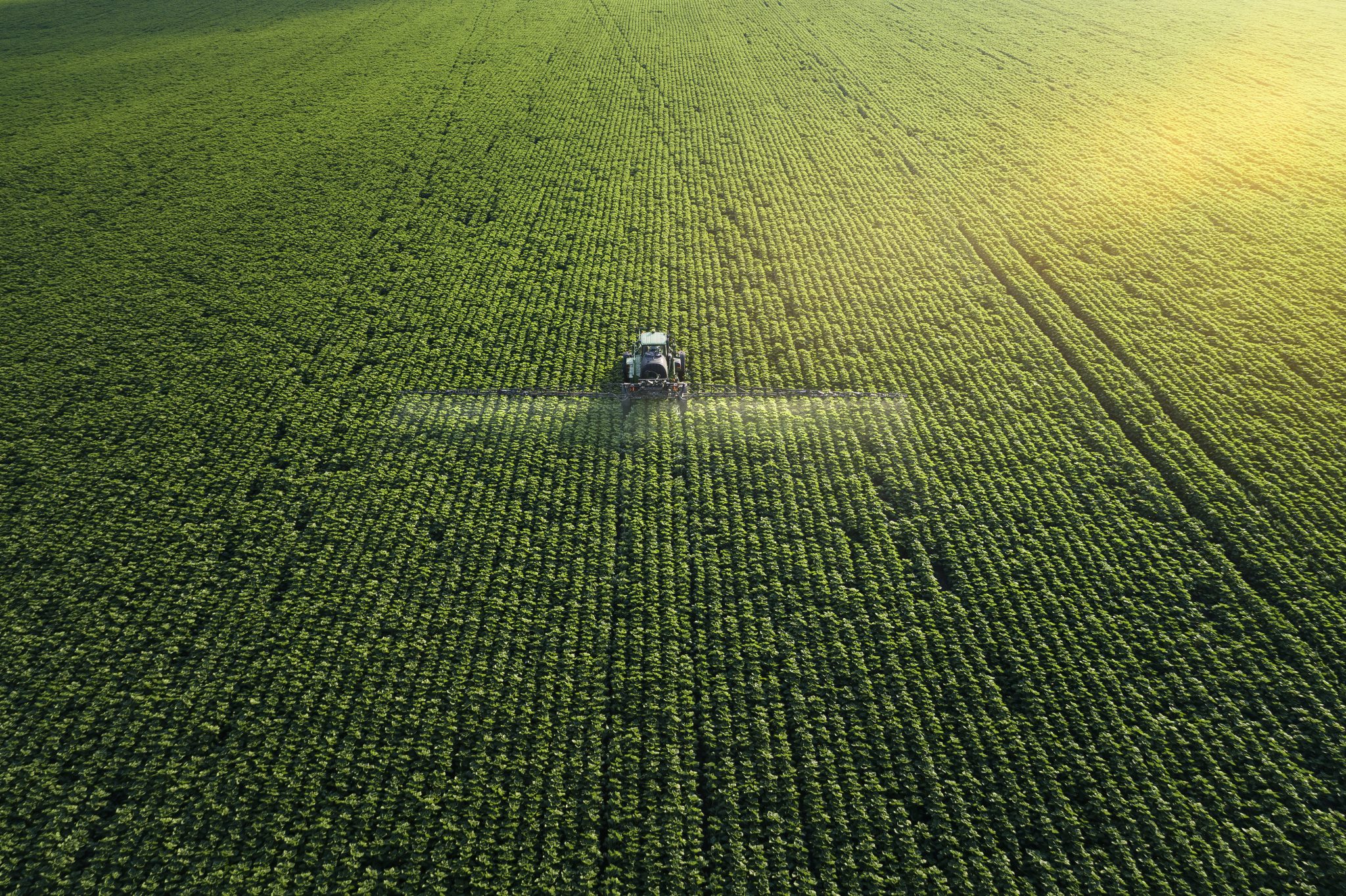 Tracking shot. Drone point of view of a Tractor spraying on a cultivated field. Small Business.