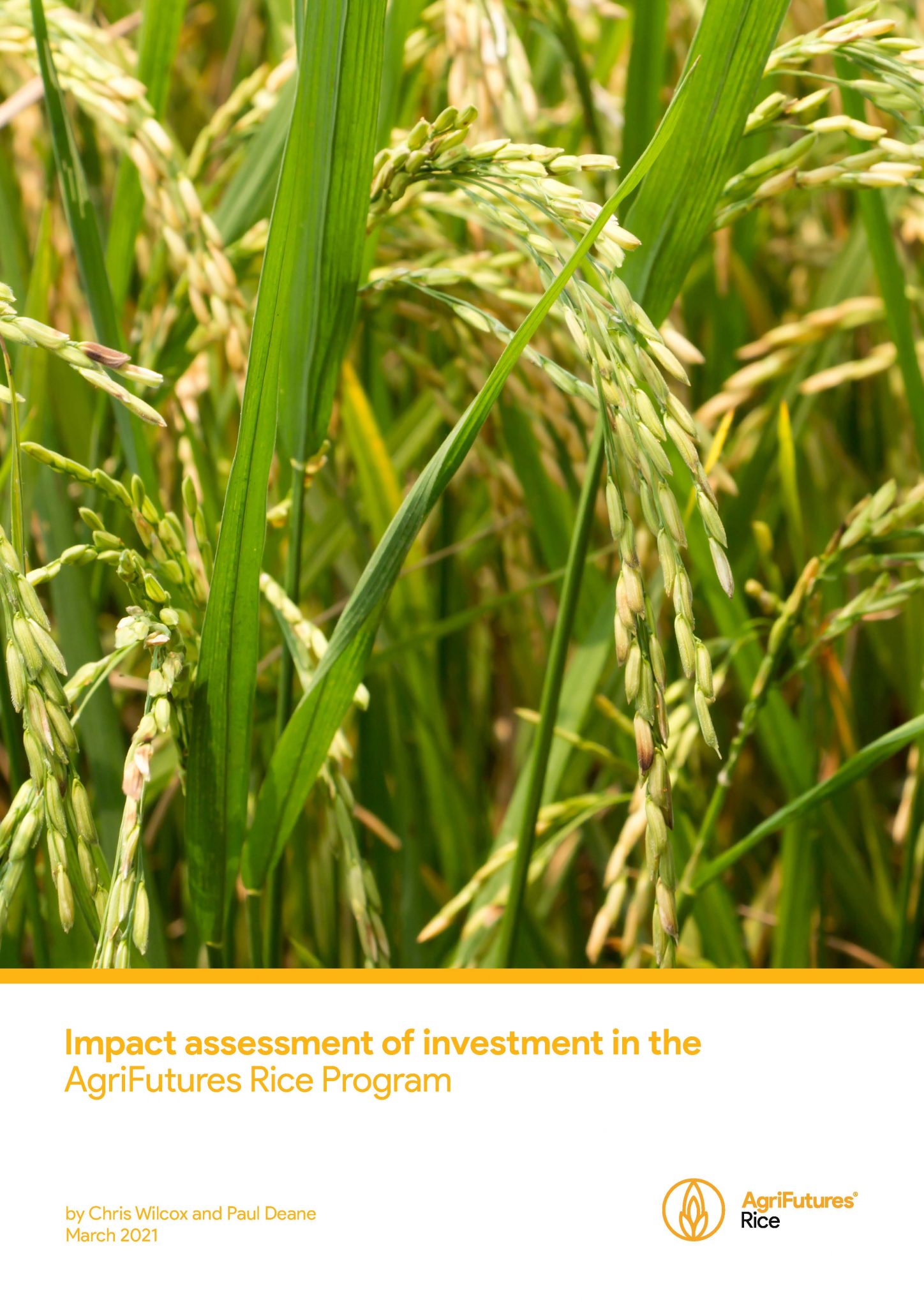 Impact assessment of investment in the AgriFutures Rice Program - image