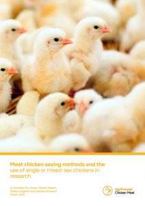 A group of fluffy yellow chicks appear on the cover of the "Final report: Meat chicken sexing methods and the use of single or mixed-sex chickens in research," highlighting advances in poultry agriculture.