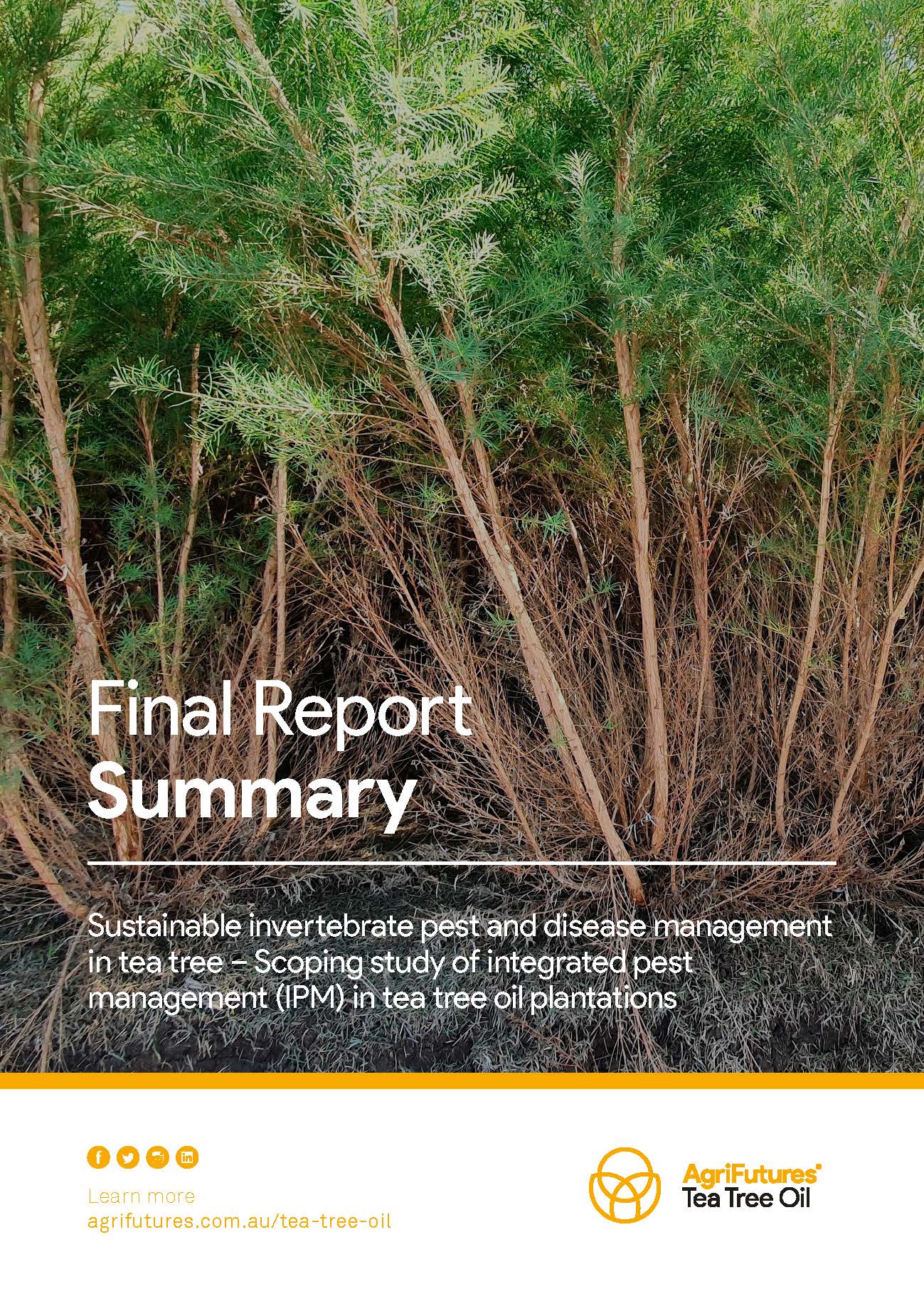 Final report summary: Sustainable invertebrate pest and disease management in tea tree - image