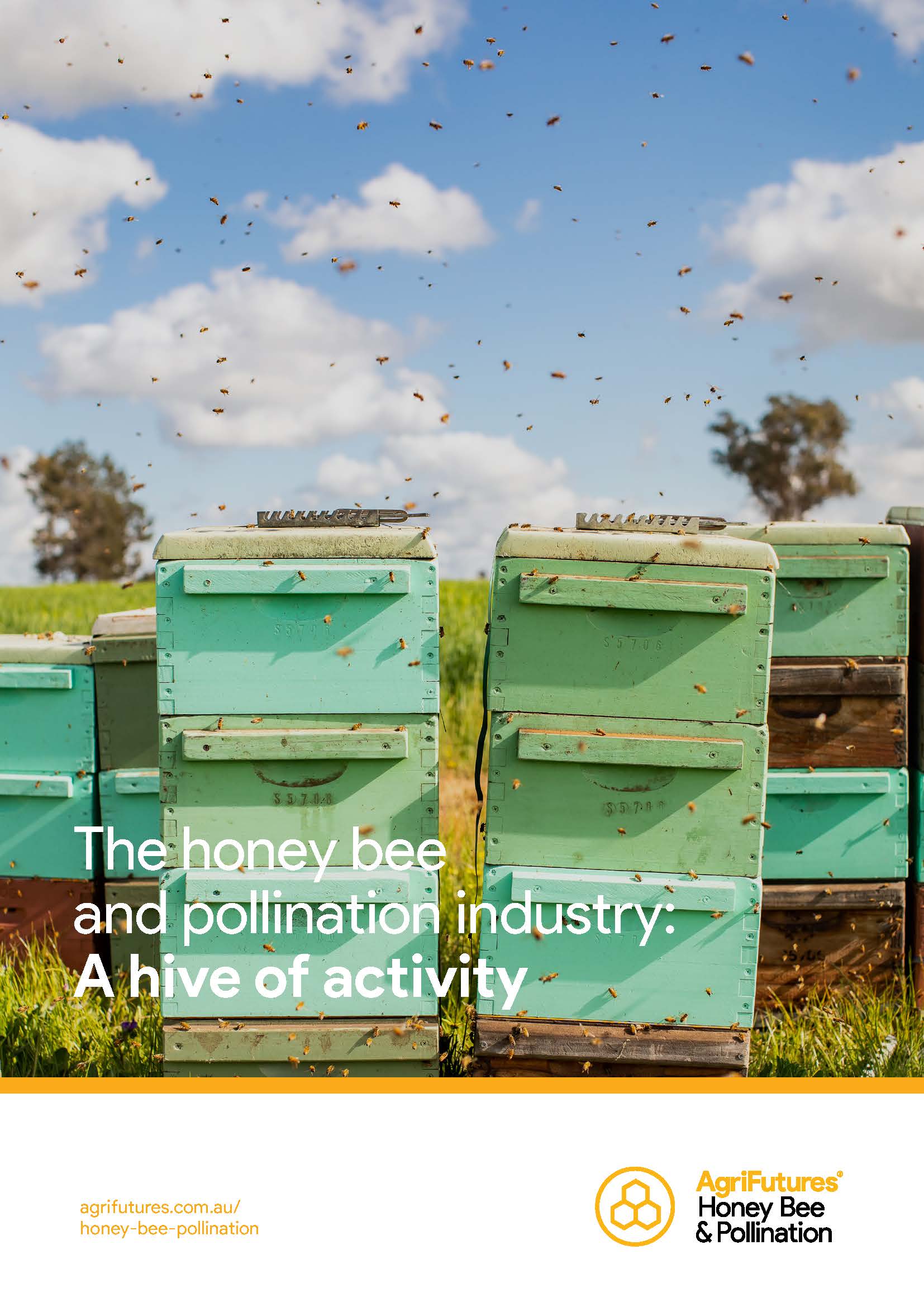 The honey bee and pollination industry: A hive of activity - image