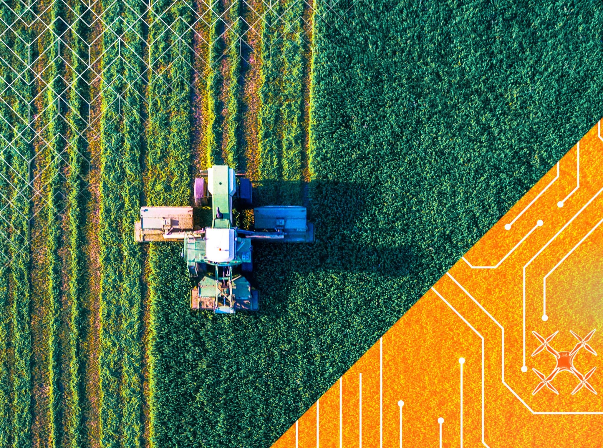 Future Forces: A ten-year horizon for Australian agriculture