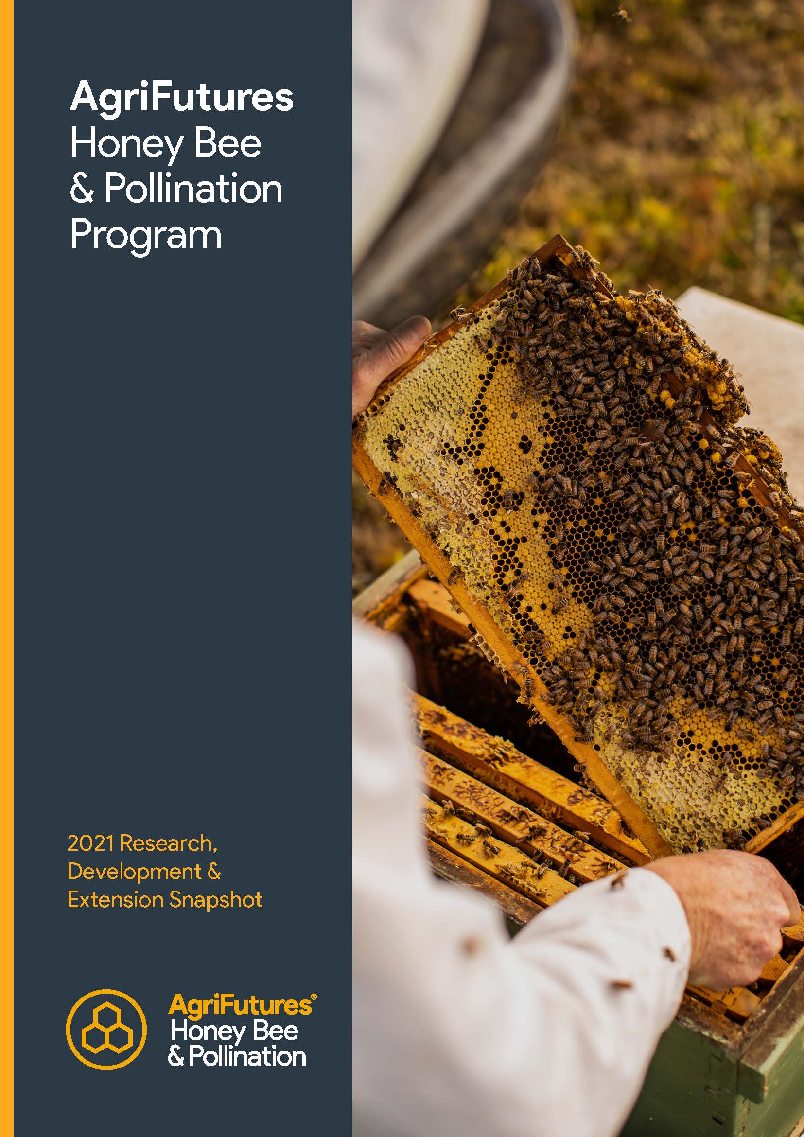 AgriFutures Honey Bee & Pollination Program 2021 RD&E Snapshot - image