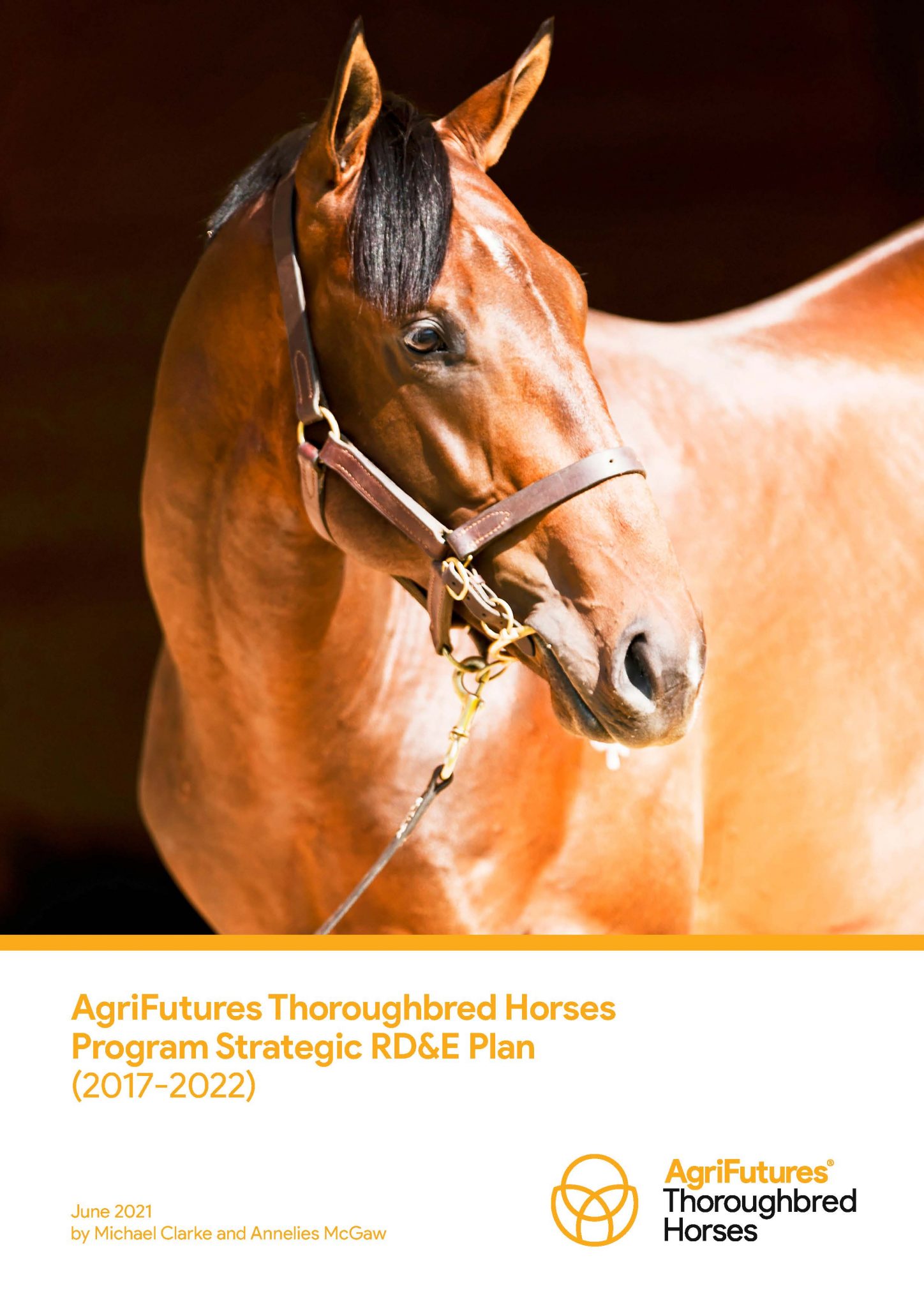AgriFutures Thoroughbred Horses Program Strategic RD&E Plan (2017-2022) - image