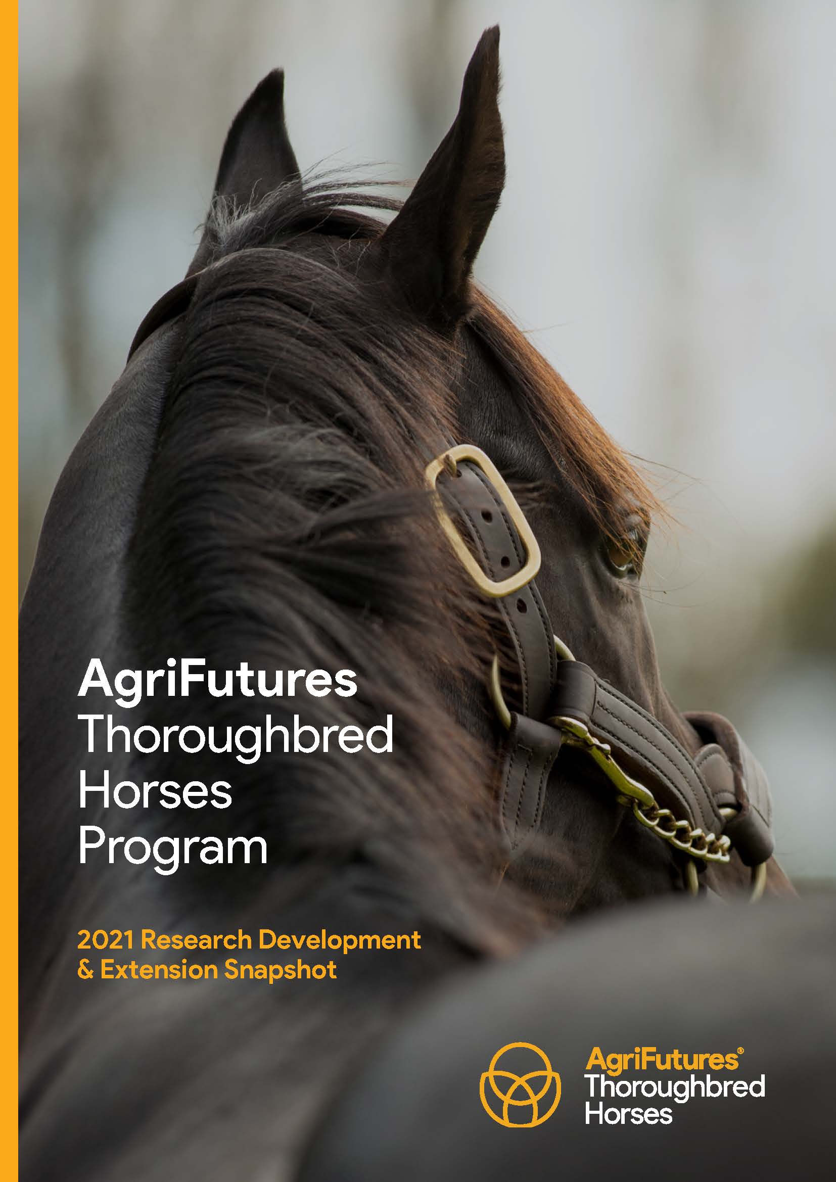 AgriFutures Thoroughbred Horses Program 2021 RD&E Snapshot - image