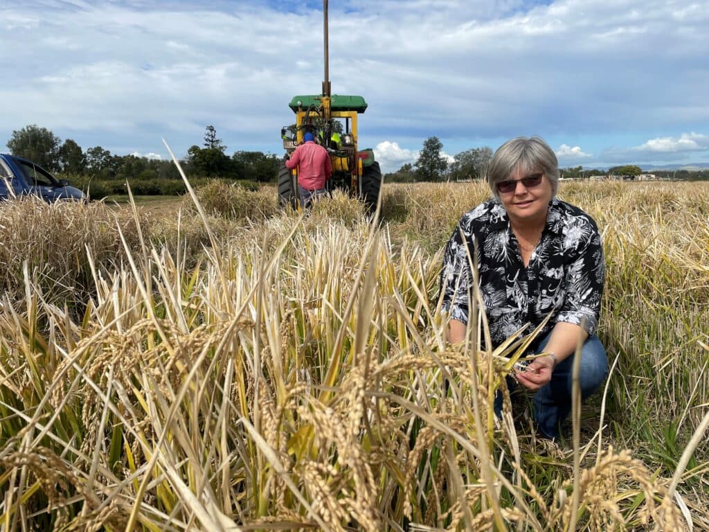 Dr Jaquie Mitchell in a rice crop