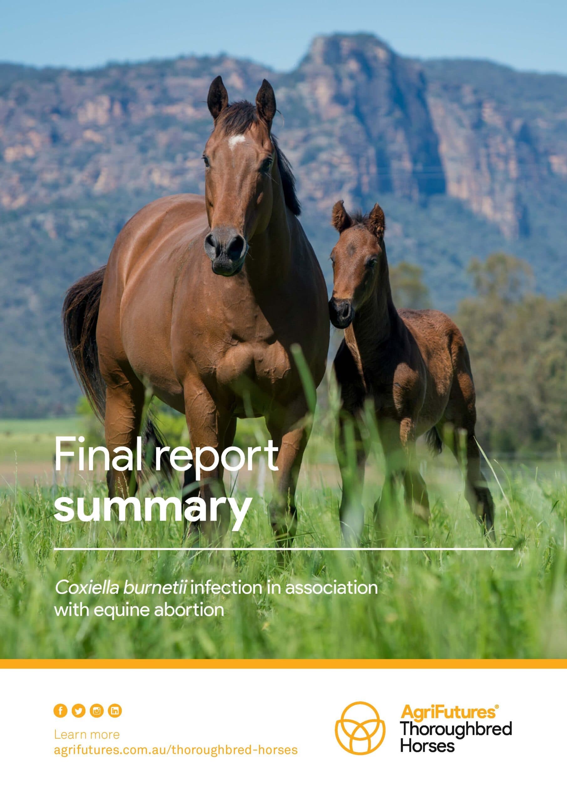 Final report summary: Coxiella burnetii infection in association with equine abortion - image