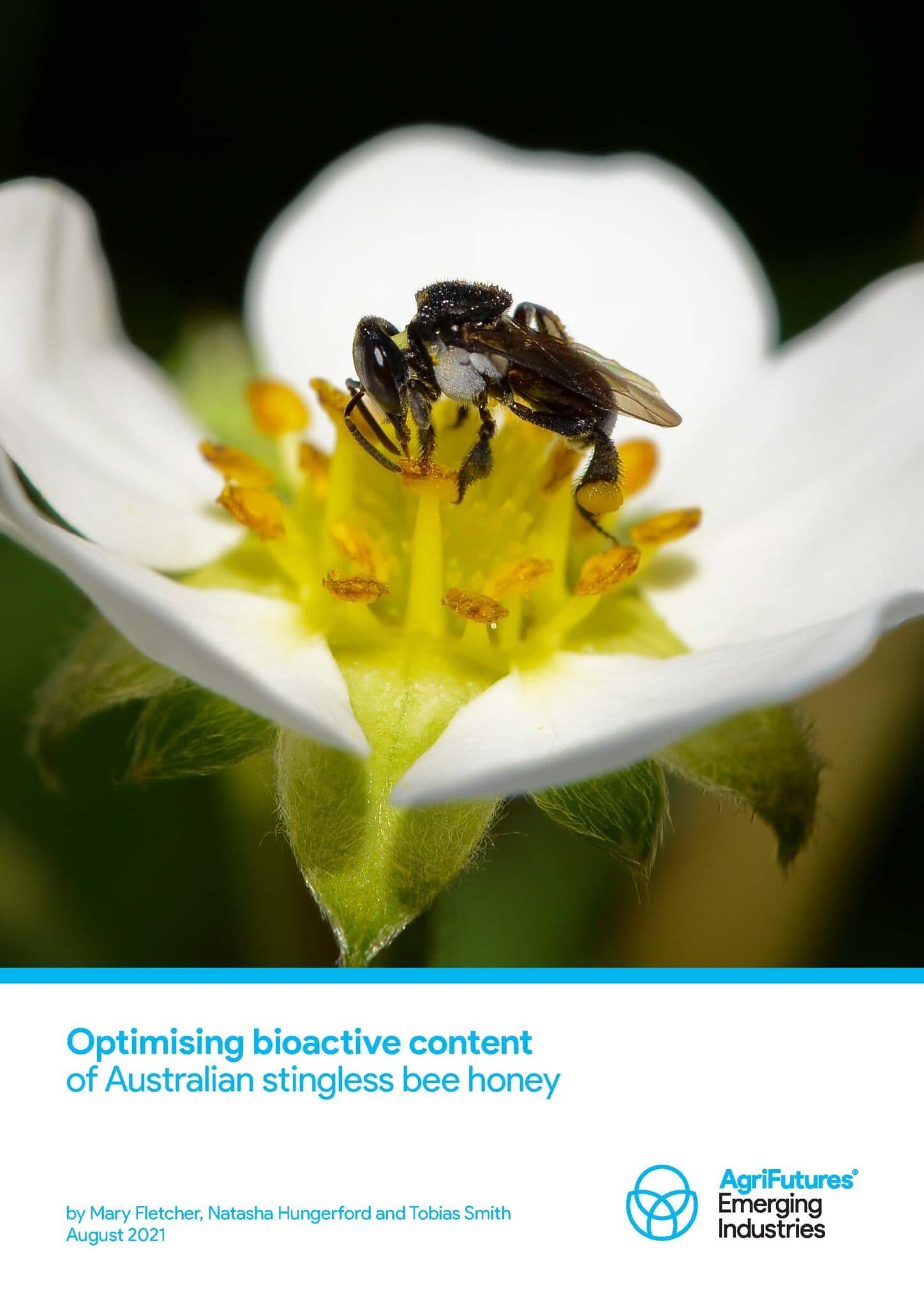 Optimising Bioactive Content Of Australian Stingless Bee Honey Agrifutures Australia 0561